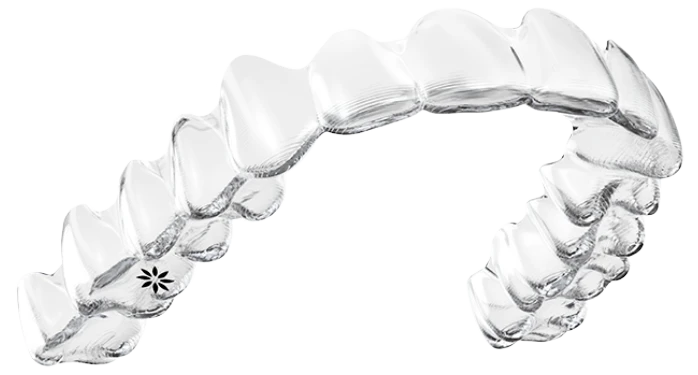 Gum Guard